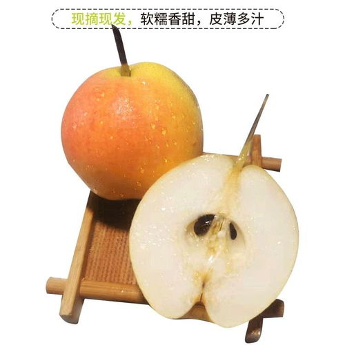 鞍山特产南国梨 细皮多汁，五斤包邮，新鲜直达