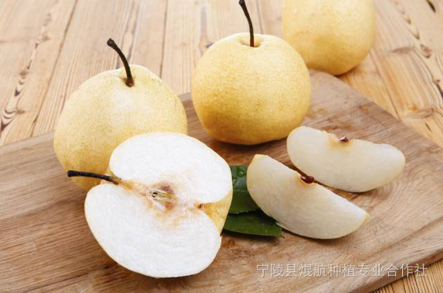 河南宁陵金顶谢花酥梨 单梨500g 每箱12枚装 产品多汁脆甜 富含蛋白 粗纤维 钙 磷 铁等